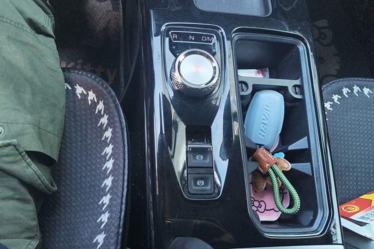 Used Haval DARGO 2022 1.5T DCT Two-Wheel Drive Border Collie Edition Gear Lever