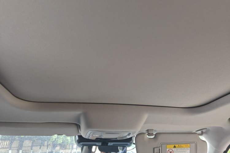 Used Haval DARGO 2022 2.0T DCT 4x4 Chinese Rural Dog Edition Headliner