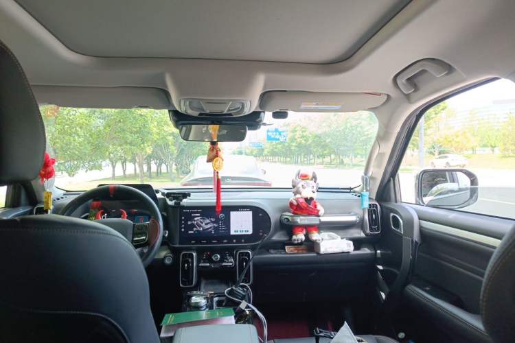 Used Haval DARGO 2022 2.0T DCT 4x4 Chinese Rural Dog Edition Headliner