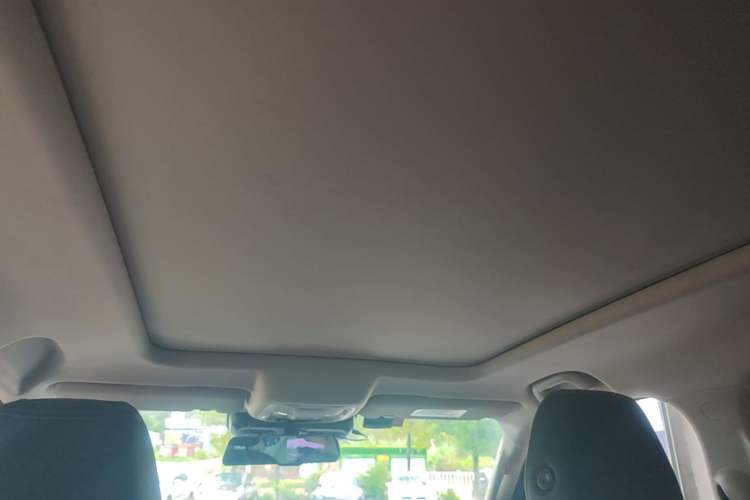 Used Haval DARGO 2022 2.0T DCT All-Wheel-Drive Xiaotianque Version Headliner