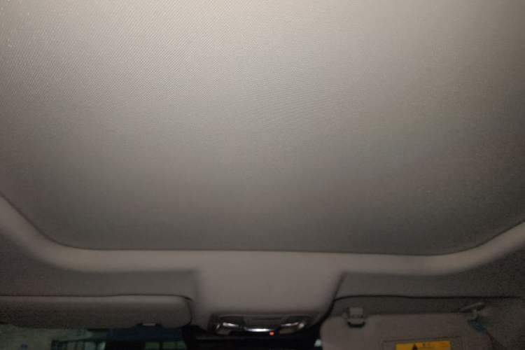 Used Haval DARGO 2022 2.0T DCT 4x4 Chinese Rural Dog Edition Headliner