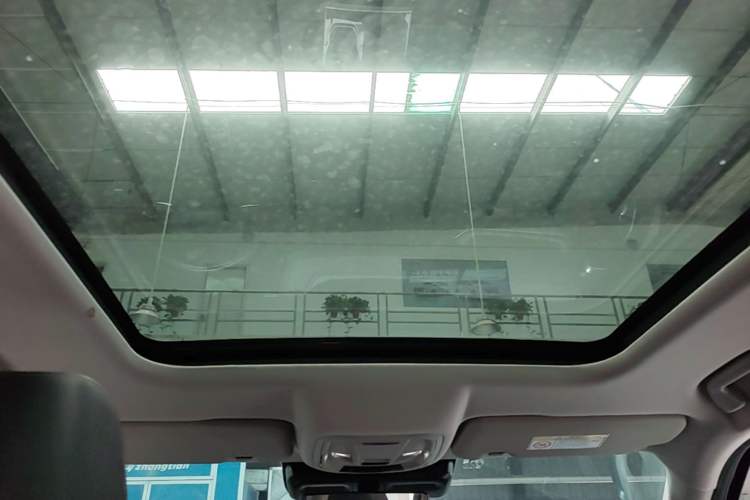 Used Haval DARGO 2022 2.0T DCT 4x4 Chinese Rural Dog Hunting Edition Headliner