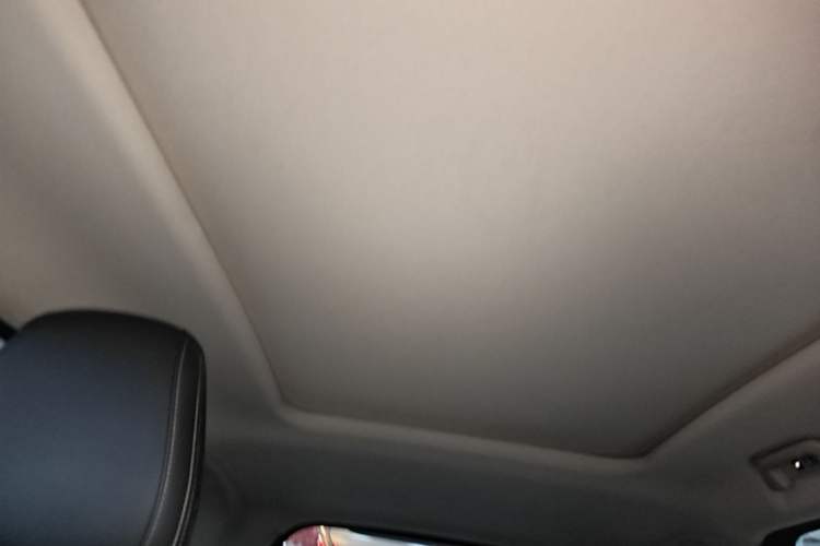 Used Haval DARGO 2022 1.5T DCT Two-Wheel Drive Border Collie Edition Headliner