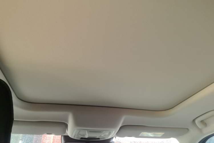 Used Haval DARGO 2022 1.5T DCT Two-Wheel Drive Border Collie Edition Headliner