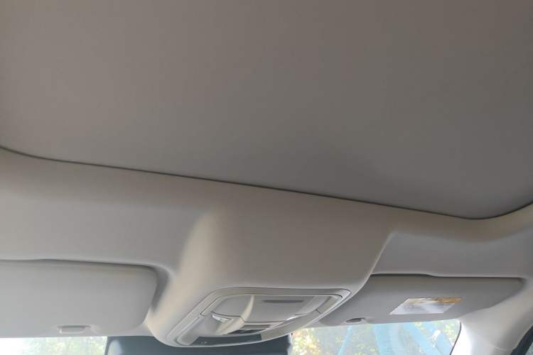 Used Haval DARGO 2022 1.5T DCT Two-Wheel Drive Border Collie Edition Headliner