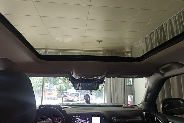 Used Haval DARGO 2022 2.0T DCT 4x4 Chinese Rural Dog Edition Headliner