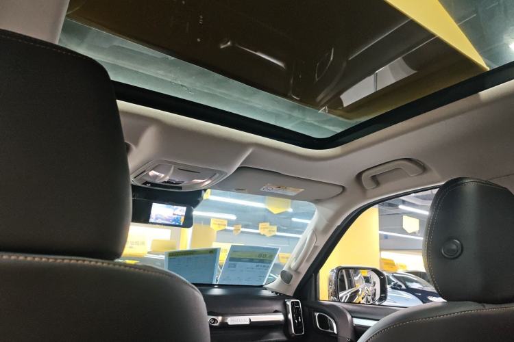 Used Haval DARGO 2022 1.5T DCT Two-Wheel Drive Border Collie Edition Headliner