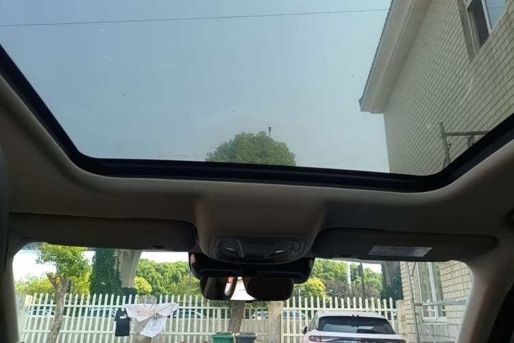 Used Haval DARGO 2022 1.5T DCT Two-Wheel Drive Border Collie Edition Headliner