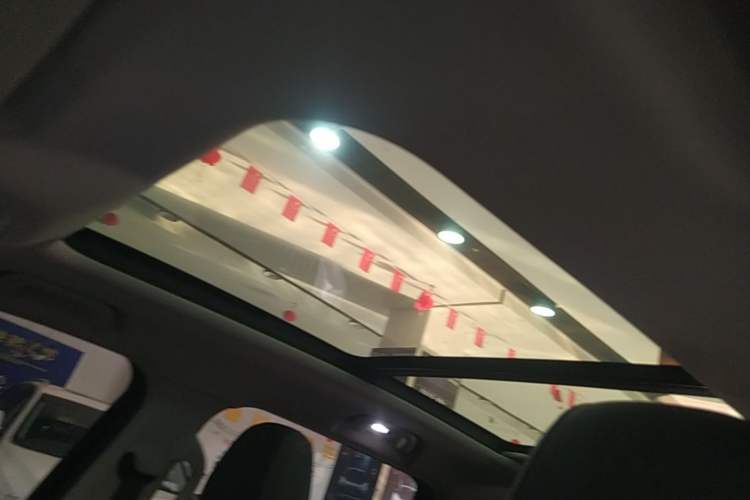 Used Haval DARGO 2022 1.5T DCT Two-Wheel Drive Border Collie Edition Headliner