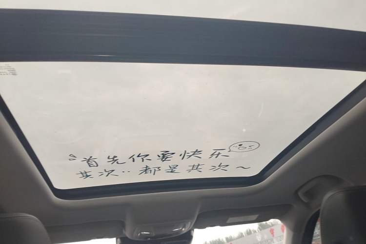 Used Haval DARGO 2022 1.5T DCT Two-Wheel Drive Labrador Edition Headliner
