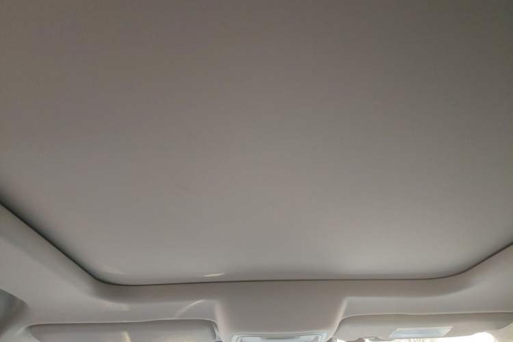 Used Haval DARGO 2022 1.5T DCT Two-Wheel Drive Border Collie Edition Headliner