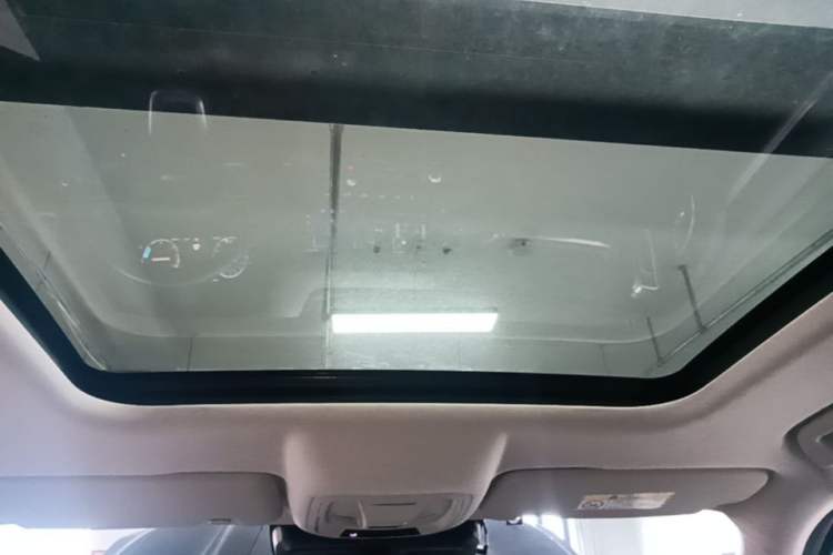 Used Haval DARGO 2022 1.5T DCT Two-Wheel Drive Border Collie Edition Headliner