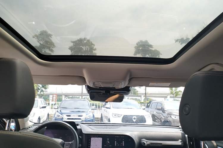 Used Haval DARGO 2022 1.5T DCT Two-Wheel Drive Border Collie Edition Headliner