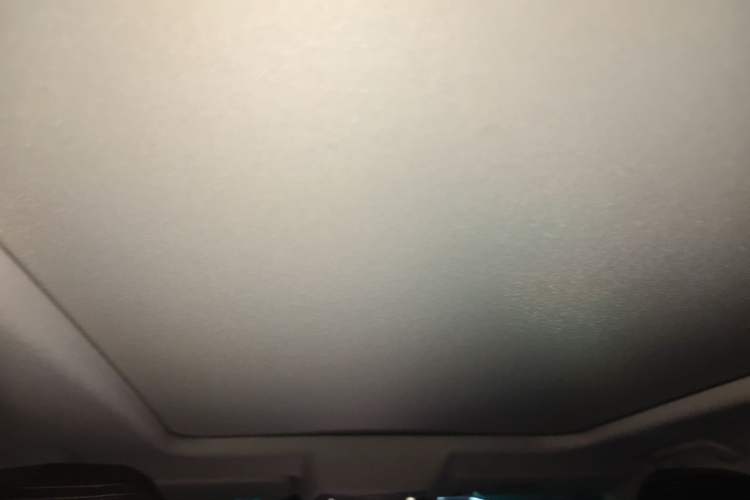 Used Haval DARGO 2022 1.5T DCT Two-Wheel Drive Border Collie Edition Headliner