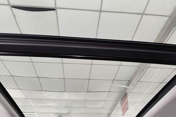 Used Haval DARGO 2022 2.0T DCT All-Wheel-Drive Xiaotianque Version Headliner