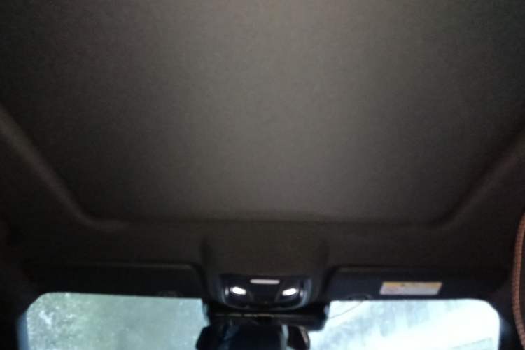 Used Haval DARGO 2022 2.0T DCT All-Wheel-Drive Xiaotianque Version Headliner