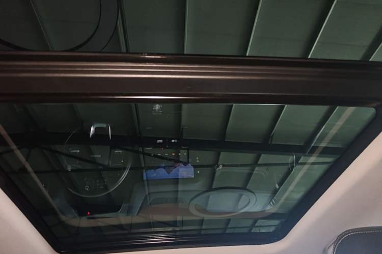 Used Haval DARGO 2022 1.5T DCT Two-Wheel Drive Border Collie Edition Headliner