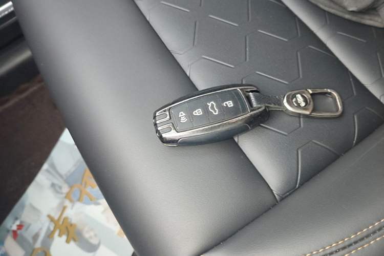Used Haval DARGO 2022 1.5T DCT Two-Wheel Drive Labrador Edition Interior 1