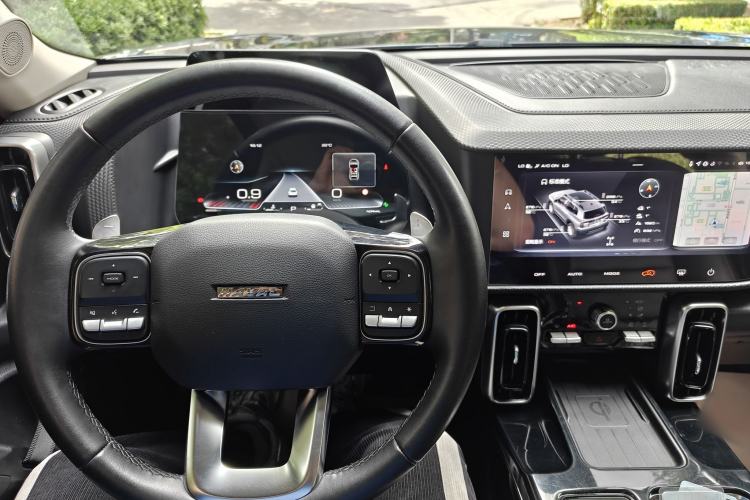 Used Haval DARGO 2022 2.0T DCT 4x4 Chinese Rural Dog Edition Interior 2