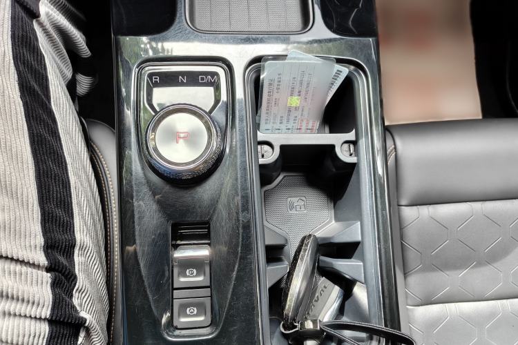Used Haval DARGO 2022 2.0T DCT 4x4 Chinese Rural Dog Edition Interior 4