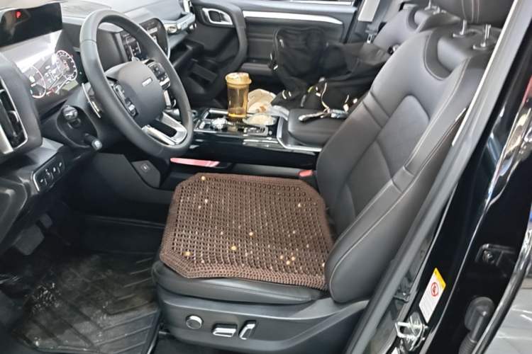Used Haval DARGO 2022 1.5T DCT Two-Wheel Drive Border Collie Edition Left Front Seat