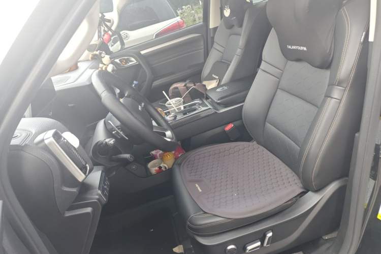 Used Haval DARGO 2022 1.5T DCT Two-Wheel Drive Border Collie Edition Left Front Seat