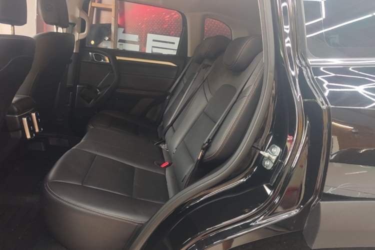 Used Haval DARGO 2022 2.0T DCT All-Wheel-Drive Xiaotianque Version Left Rear Seat