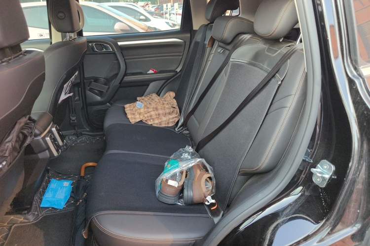 Used Haval DARGO 2022 1.5T DCT Two-Wheel Drive Mastiff Edition Left Rear Seat