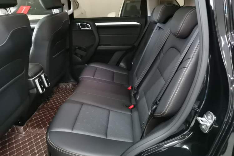 Used Haval DARGO 2022 1.5T DCT Two-Wheel Drive Border Collie Edition Left Rear Seat