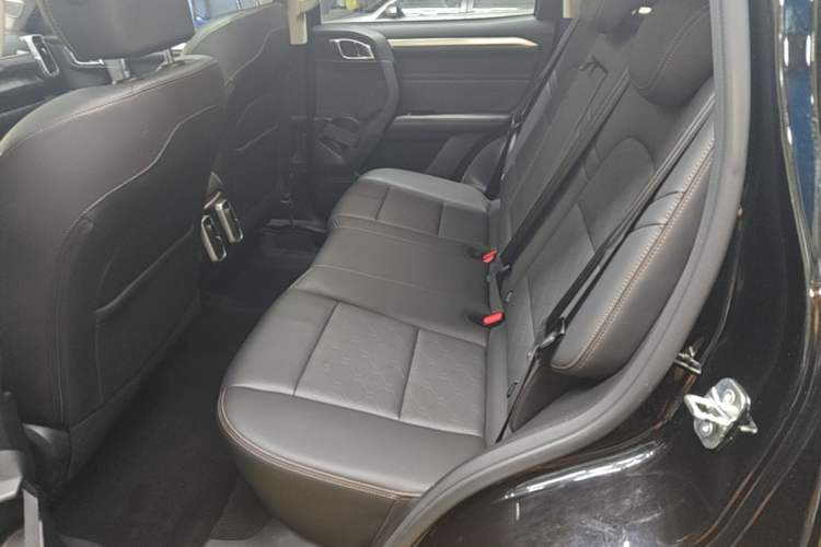 Used Haval DARGO 2022 1.5T DCT Two-Wheel Drive Border Collie Edition Left Rear Seat