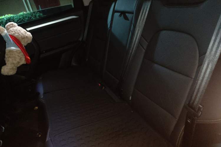 Used Haval DARGO 2022 2.0T DCT Two-Wheel Drive Huazhong Hound Edition Left Rear Seat