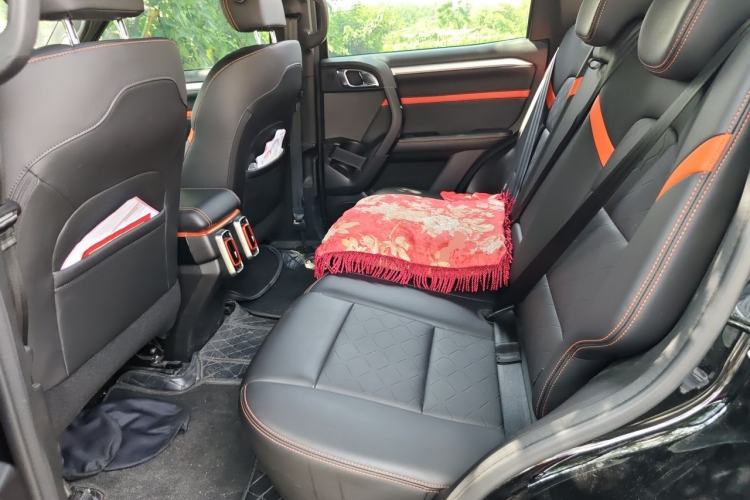 Used Haval DARGO 2022 1.5T DCT Two-Wheel Drive Border Collie Edition Left Rear Seat