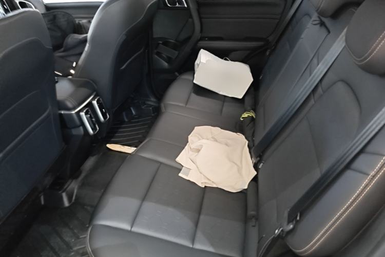 Used Haval DARGO 2022 1.5T DCT Two-Wheel Drive Border Collie Edition Left Rear Seat