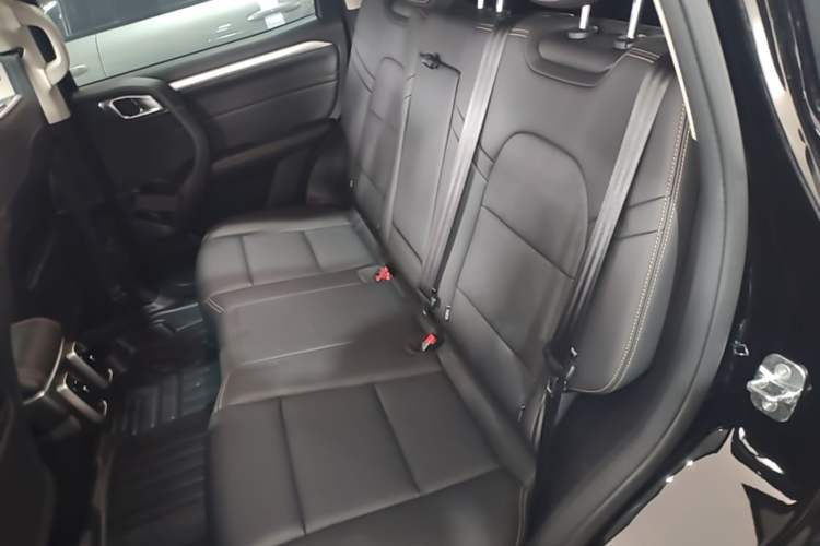 Used Haval DARGO 2022 1.5T DCT Two-Wheel Drive Mastiff Pursuit Edition Left Rear Seat