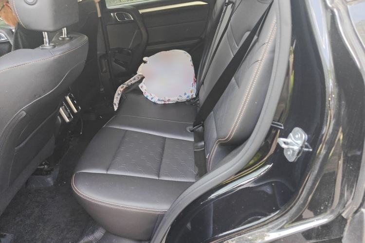Used Haval DARGO 2022 1.5T DCT Two-Wheel Drive Border Collie Edition Left Rear Seat