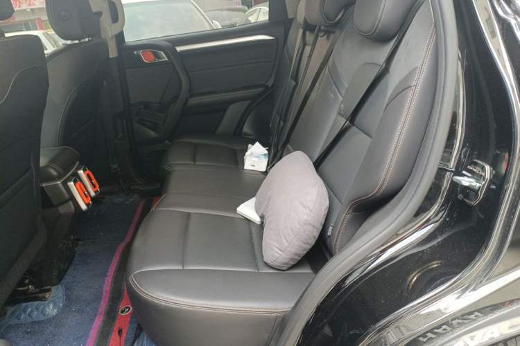 Used Haval DARGO 2022 2.0T DCT All-Wheel-Drive Xiaotianque Version Left Rear Seat