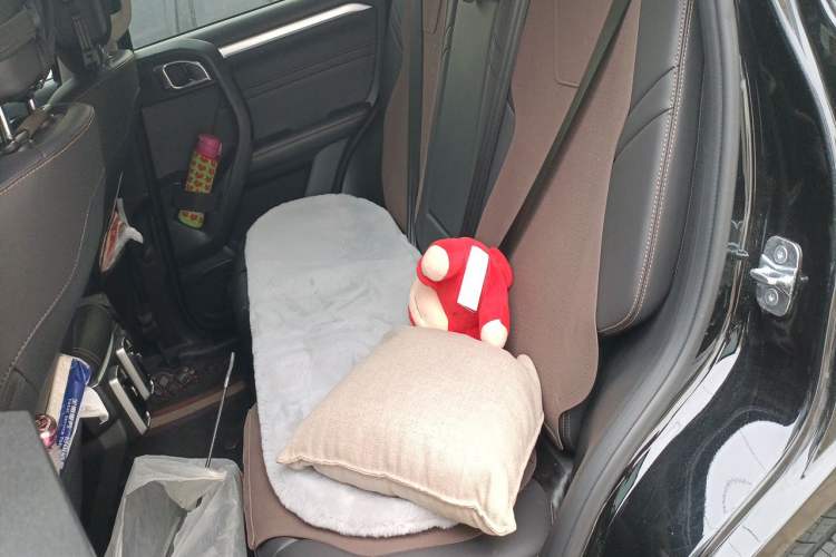 Used Haval DARGO 2022 1.5T DCT Two-Wheel Drive Border Collie Edition Left Rear Seat