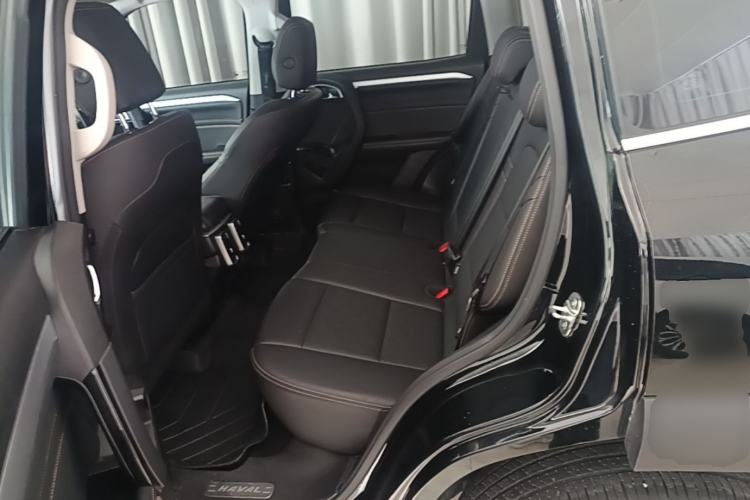 Used Haval DARGO 2022 2.0T DCT 4x4 Chinese Rural Dog Edition Left Rear Seat