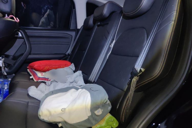 Used Haval DARGO 2022 1.5T DCT Two-Wheel Drive Labrador Edition Left Rear Seat