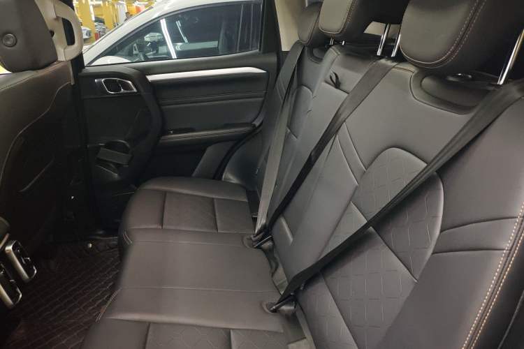 Used Haval DARGO 2022 1.5T DCT Two-Wheel Drive Border Collie Edition Left Rear Seat