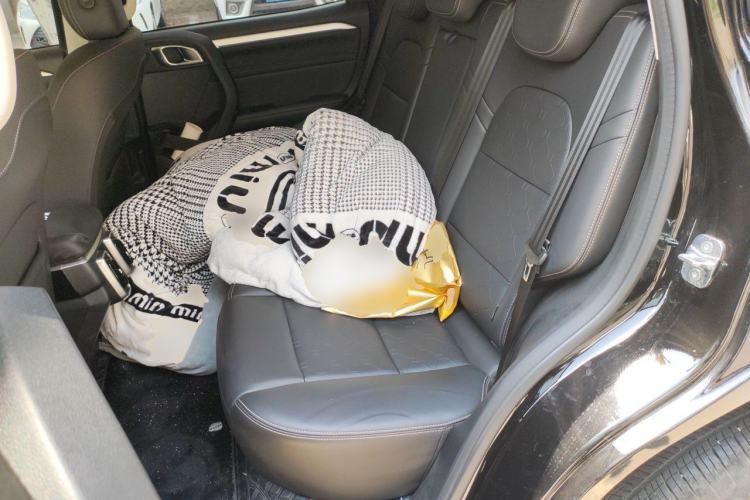 Used Haval DARGO 2022 1.5T DCT Two-Wheel Drive Border Collie Edition Left Rear Seat