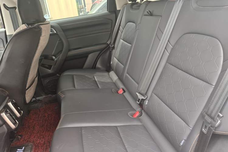 Used Haval DARGO 2022 1.5T DCT Two-Wheel Drive Labrador Edition Left Rear Seat