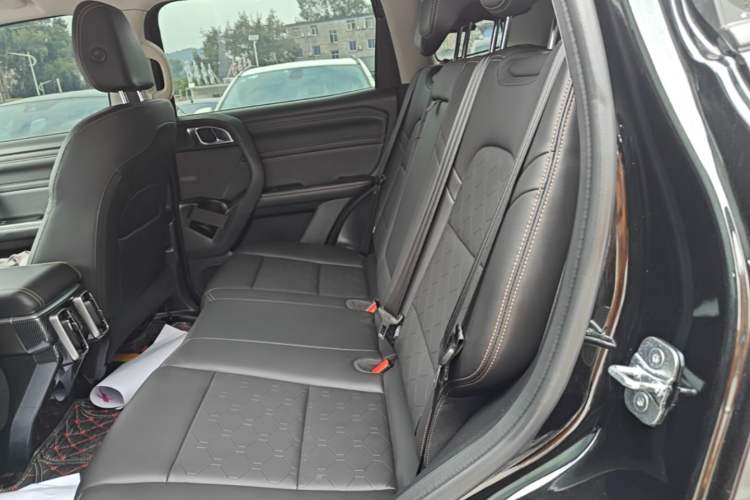 Used Haval DARGO 2022 1.5T DCT Two-Wheel Drive Labrador Edition Left Rear Seat