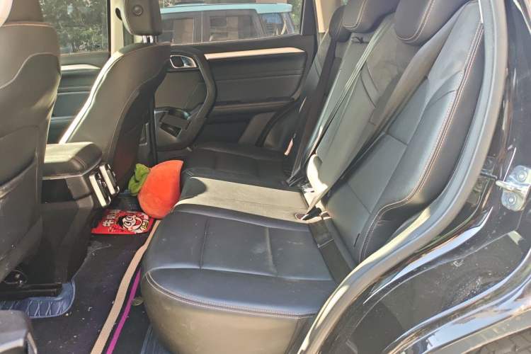 Used Haval DARGO 2022 2.0T DCT All-Wheel-Drive Xiaotianque Version Left Rear Seat