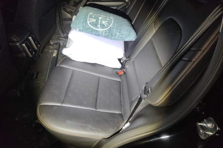 Used Haval DARGO 2022 1.5T DCT Two-Wheel Drive Border Collie Edition Left Rear Seat