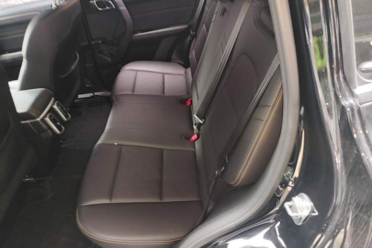 Used Haval DARGO 2022 1.5T DCT Two-Wheel Drive Labrador Edition Left Rear Seat