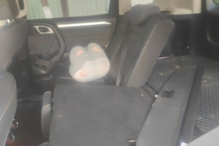 Used Haval DARGO 2022 1.5T DCT Two-Wheel Drive Border Collie Edition Left Rear Seat
