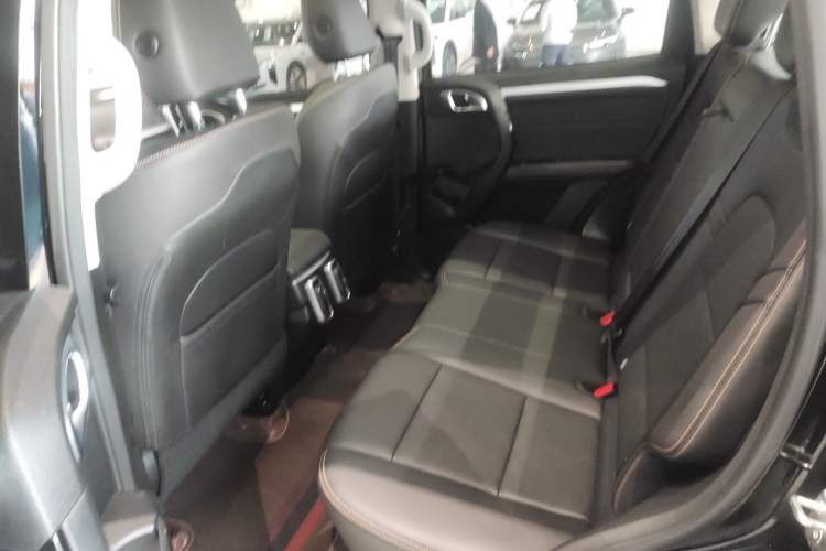Used Haval DARGO 2022 1.5T DCT Two-Wheel Drive Border Collie Edition Left Rear Seat