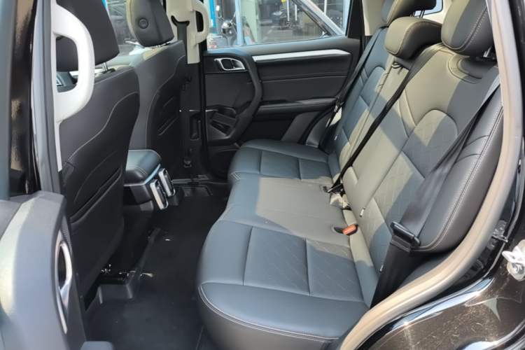 Used Haval DARGO 2022 2.0T DCT 4x4 Chinese Rural Dog Hunting Edition Left Rear Seat