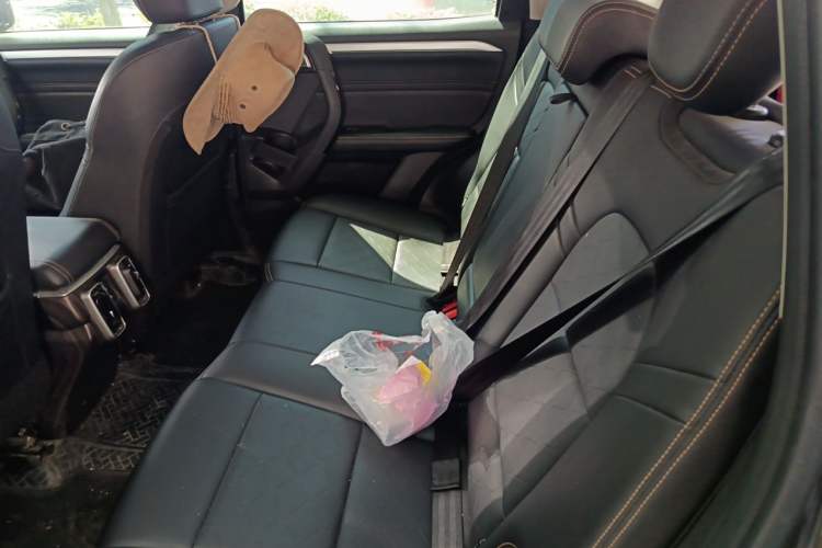 Used Haval DARGO 2022 1.5T DCT Two-Wheel Drive Border Collie Edition Left Rear Seat